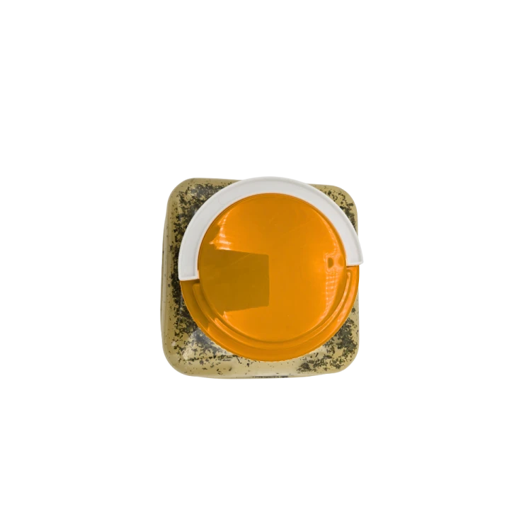 Grill-Cheese-100-Αιγοπρόβειο-3 (1).png